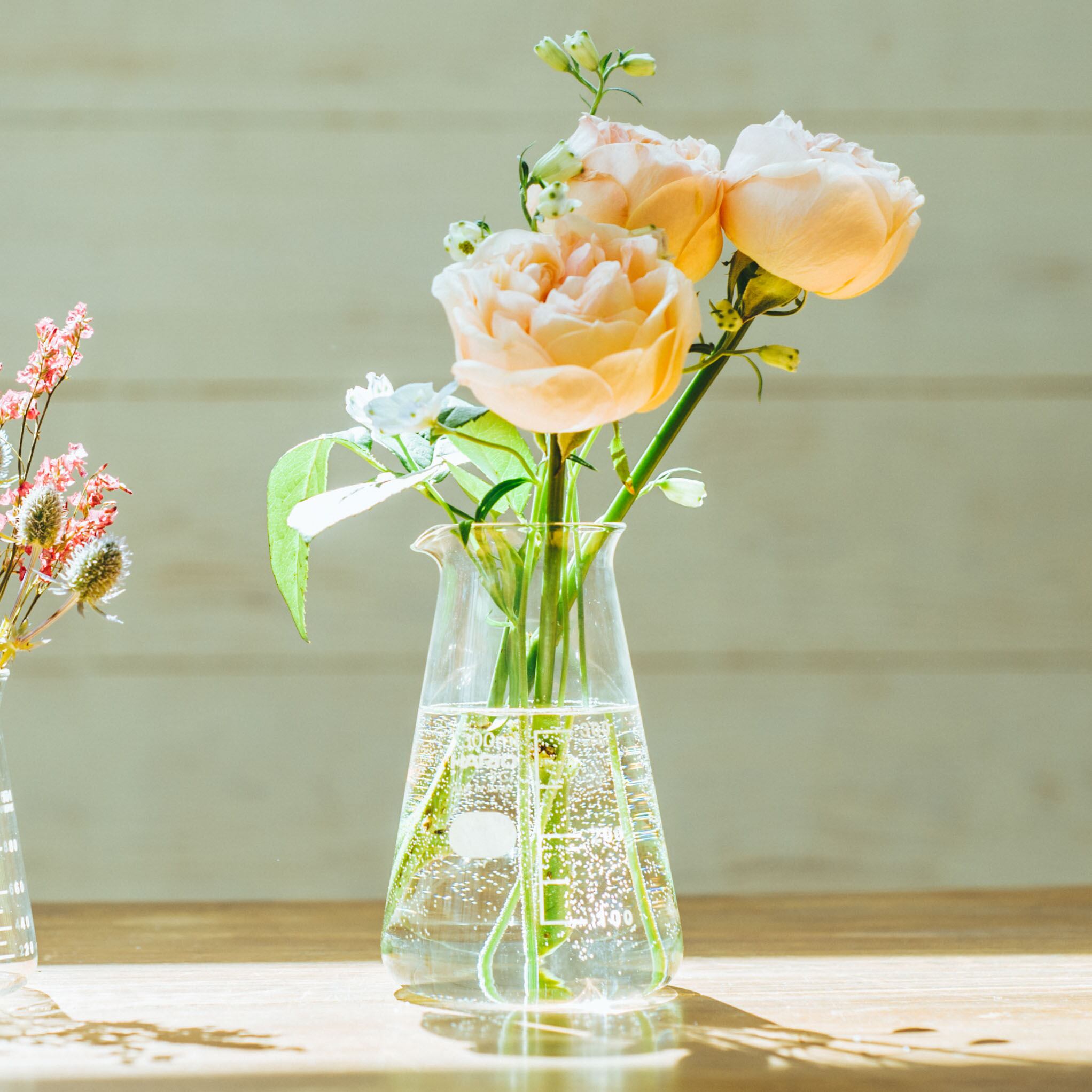 ハリオサイエンス公式通販