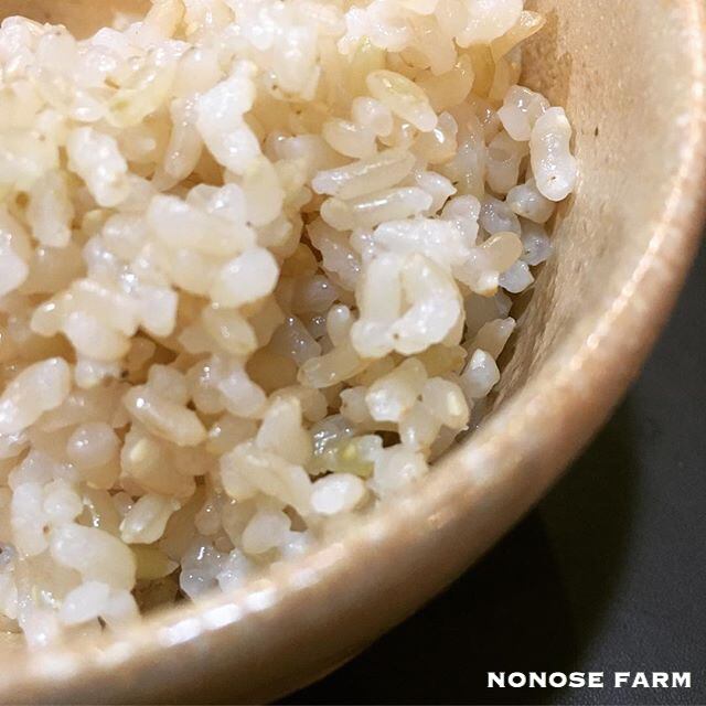 北海道産極上ののせ米（ななつぼし）2キロ玄米（令和5年度産）　美味しい北海道産米、ななつぼし通販専門農家Byののせファーム