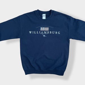 【GILDAN】Williamsburg ウィリアムズバーグ 星条旗 アメリカ ロゴ プリント スウェット トレーナー プルオーバー M US古着