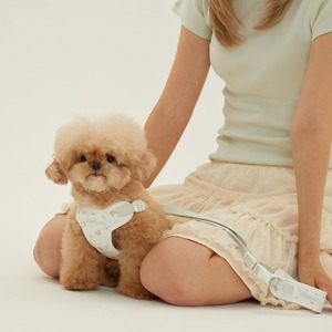 【予約】[ thesallyslaw ] Bailey cushioning harness｜Milk Pistachio