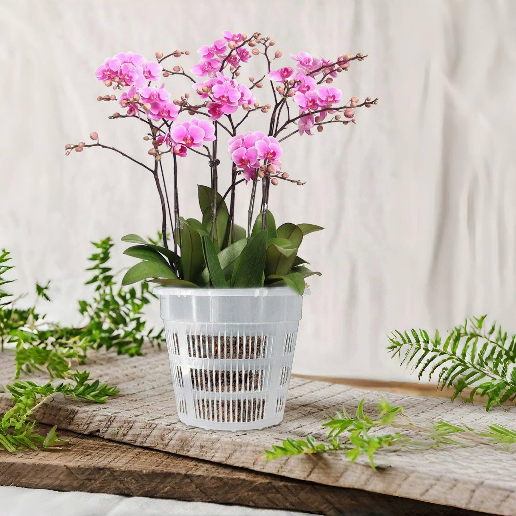 新着商品】Orirya プランター 植木鉢 プラスチック スリット鉢 透明
