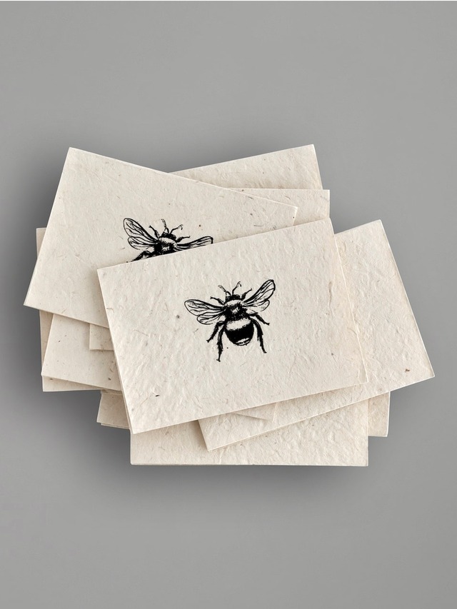 グリーティングカード シングルビー 15枚セット / Gift Card Set Single Bee - 15 Cards + 15 Envelopes