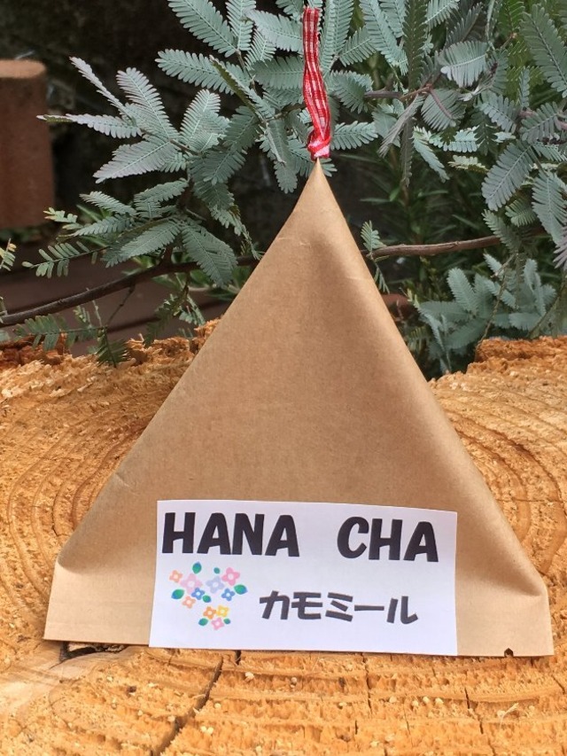 HANA  CHA　カモミール