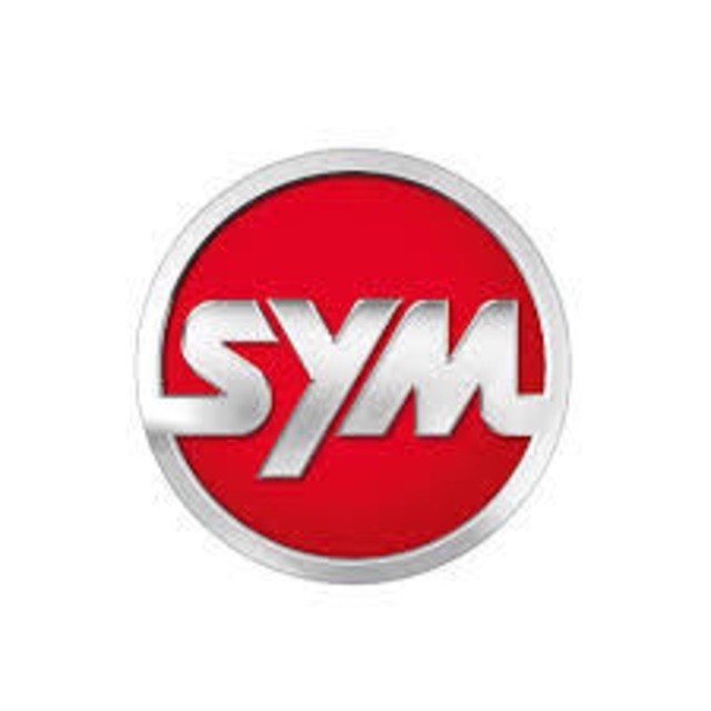 SYM RV180EFIパーツリスト　英語/中国語