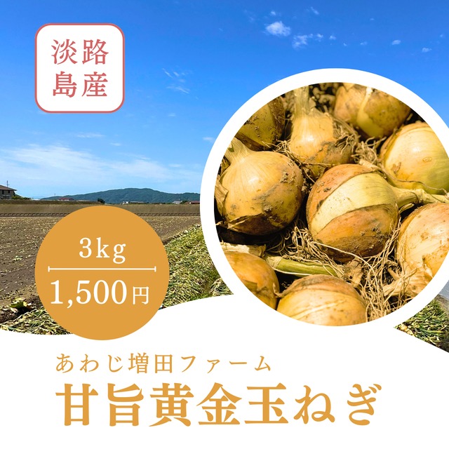 限定100箱【淡路島】とろける甘み!・甘旨黄金玉ねぎ(3キロ)