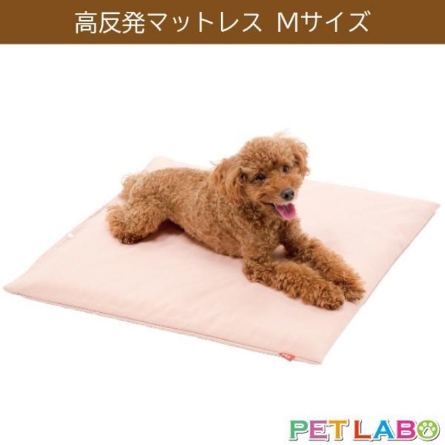 トンボ・床ずれ防止高反発マットレス(Mサイズ)　小型犬 中型犬 ヘルニア緩和 立ち上がり補助 腰痛予防 介護 老犬 寝たきり ベッド