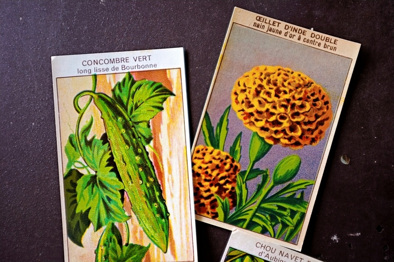 20s フランス 4set 膨満な花々と野菜たち 種子袋用ラベルq アンティーク