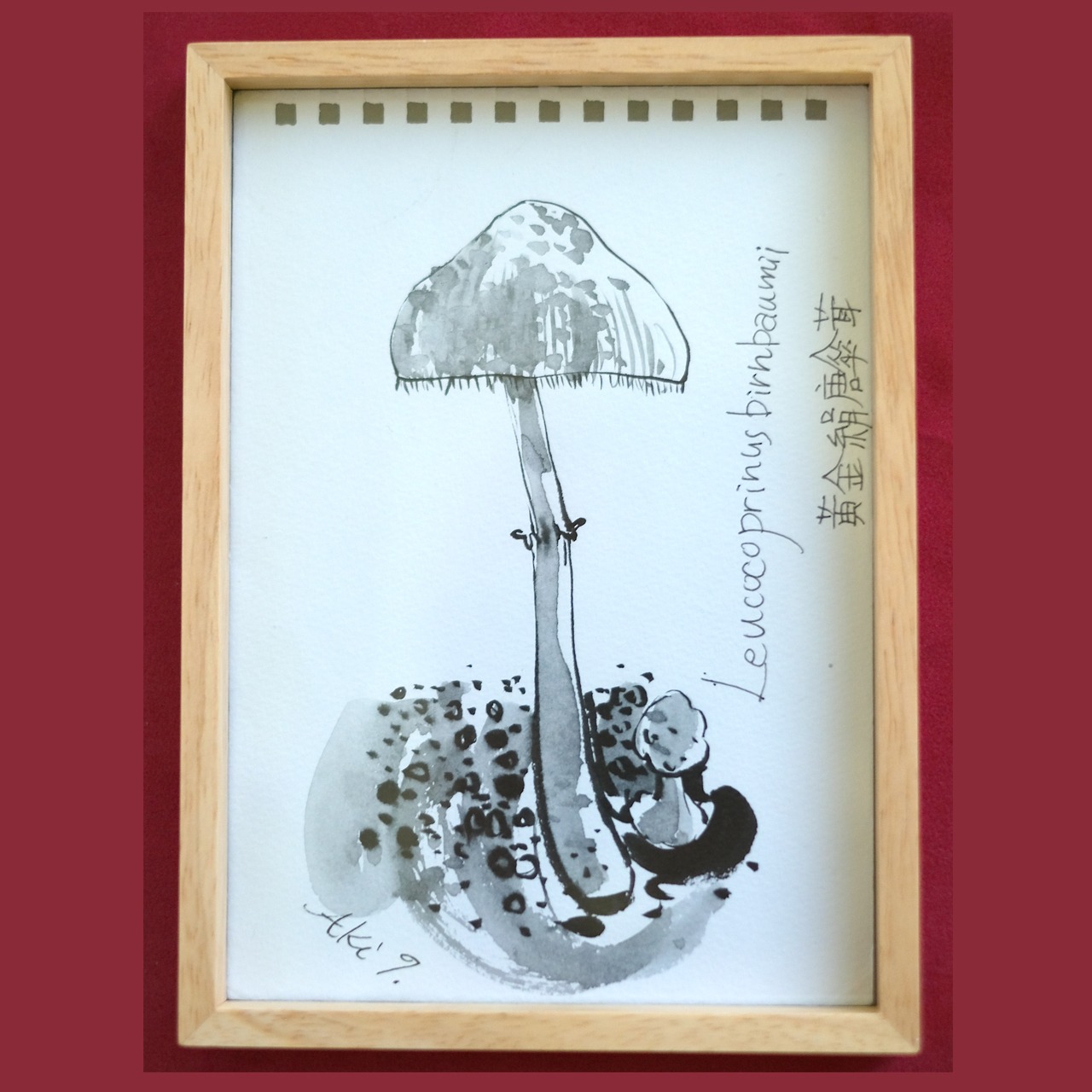 のっぽのキノコ（朝のスケッチ）