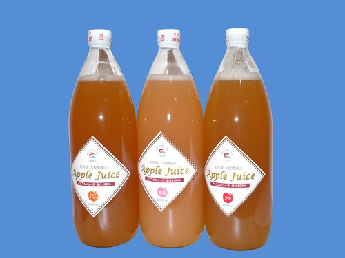 【賞味期限間近の為、割引中！！】りんごジュース１Ｌ×３本　品種おまかせセット！