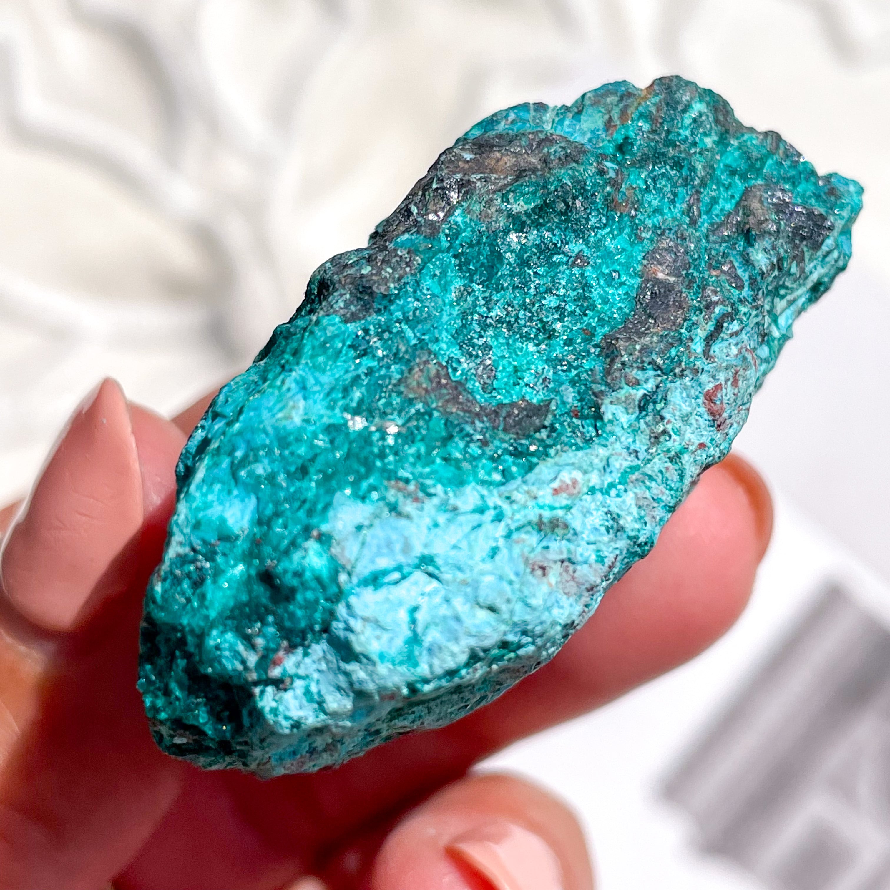 ダイオプテーズ クリソコラ F1 共生 鉱物 標本 原石 Chrysocolla & Dioptase 1 ✧ クリソコラ & ダイオプテーズ (共生原石