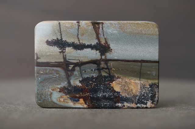 チェリークリーク・ジャスパー Cherry Creek Jasper 2216