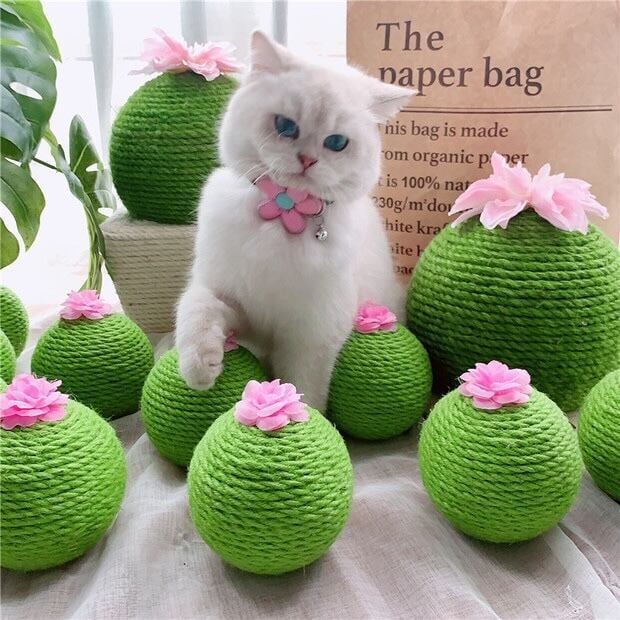 キャッツ様おまとめ専用 キャッツ様おまとめ専用 ほーちゃんさん専用 NTT | ZXシリーズ