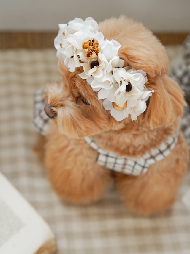 〈予約アイテム〉Drops Flora Crown - Christmas ver. White