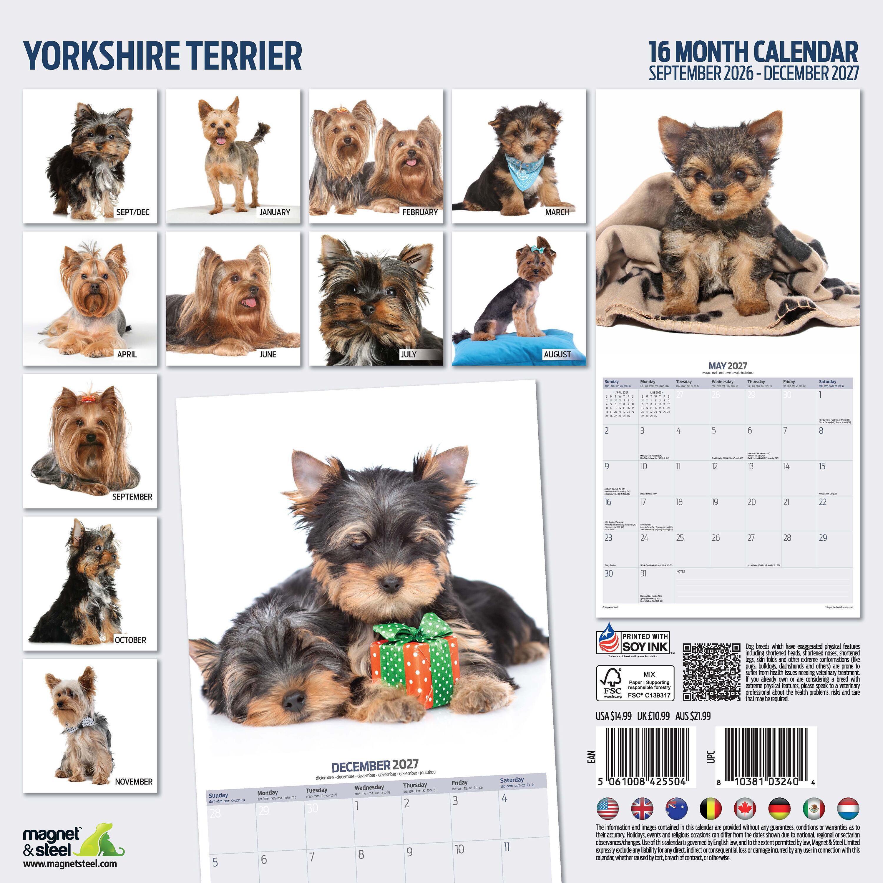 【2027年版】英国製犬種カレンダー【ヨークシャー・テリア】 Modern 2027年版