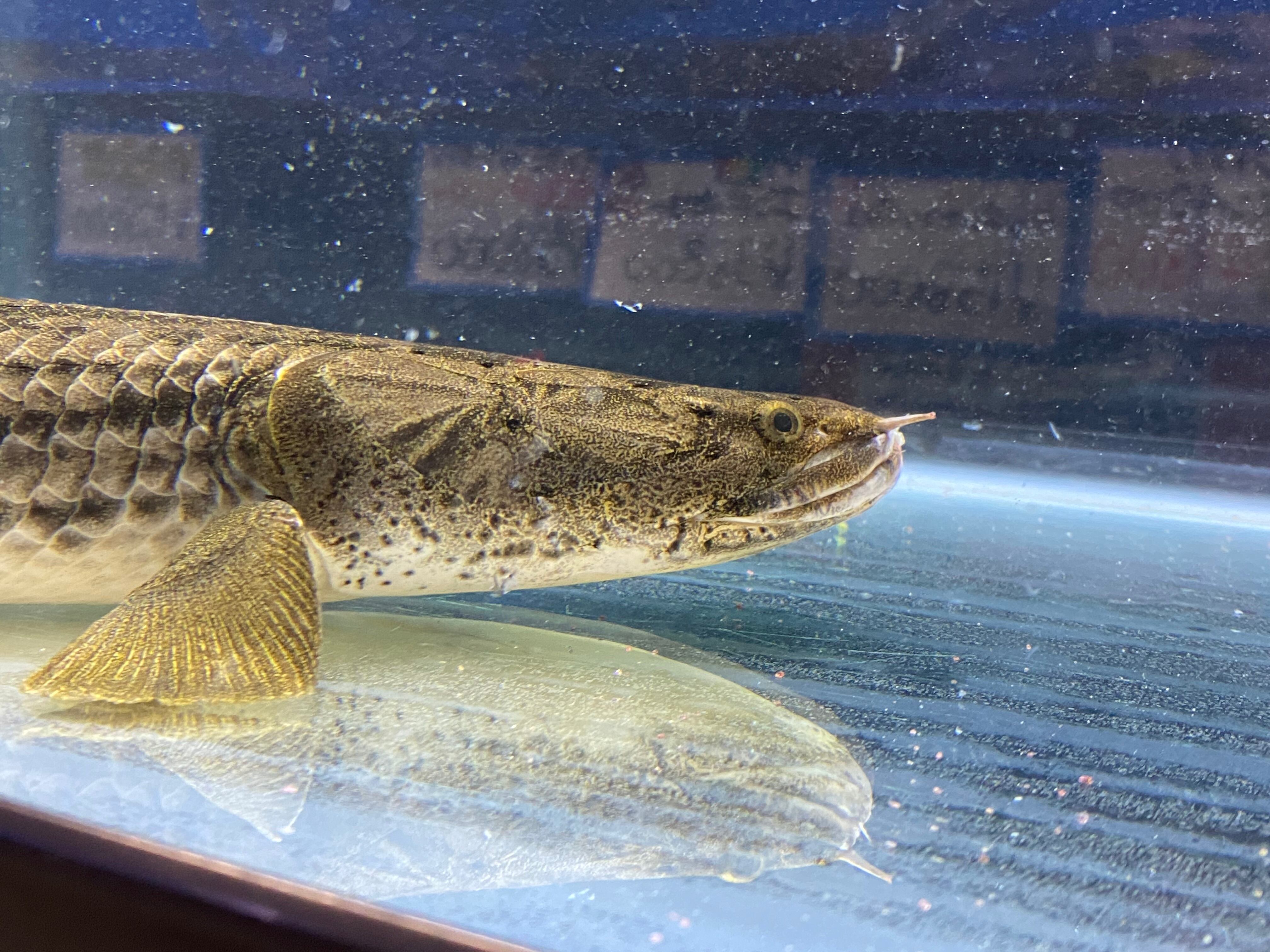 ce1df275ae0652dc63d5580590ffdb  