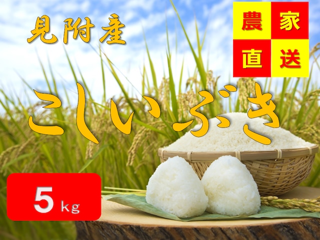 【令和5年産完売】「流通していない山の水で作った」こしいぶき（5kg）