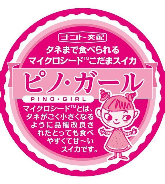 ご家庭用 ピノガール2玉 【タネごと食べれるシャキシャキ小玉すいか】
