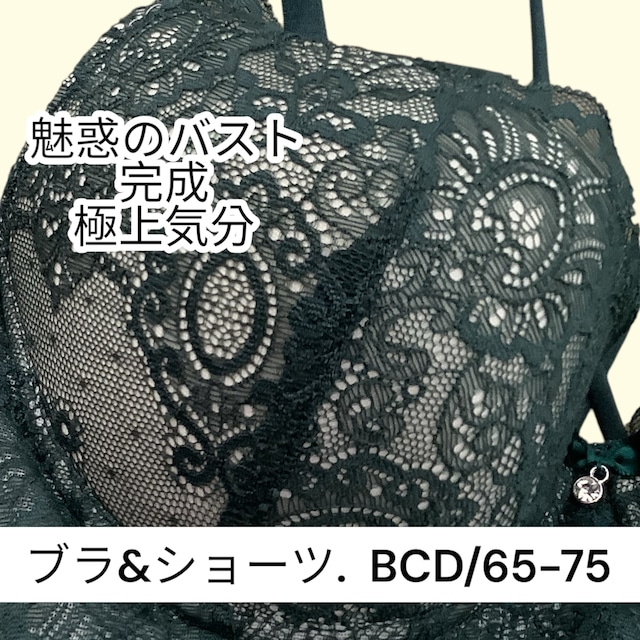 k-BC【3010green】「繊細レースが魅せる、女神のような曲線美」