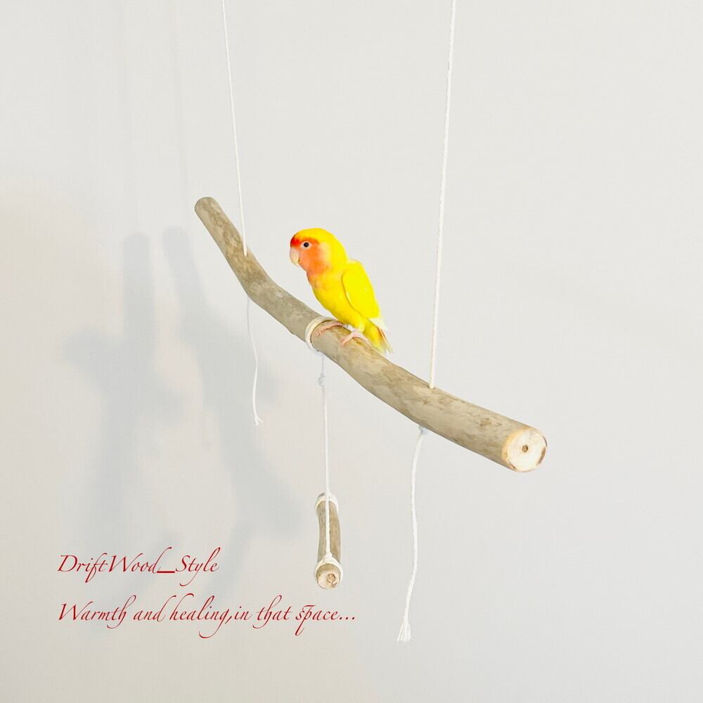 流木吊り下げ式止まり木