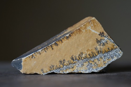 デンドライト 忍石 Dendritic limestone  17