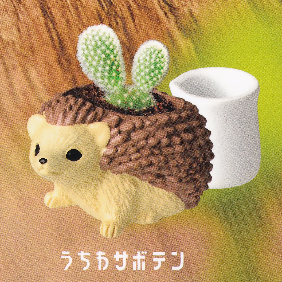 うちわサボテン 【ミニチュアガーデン はりぽっと エール Miniature