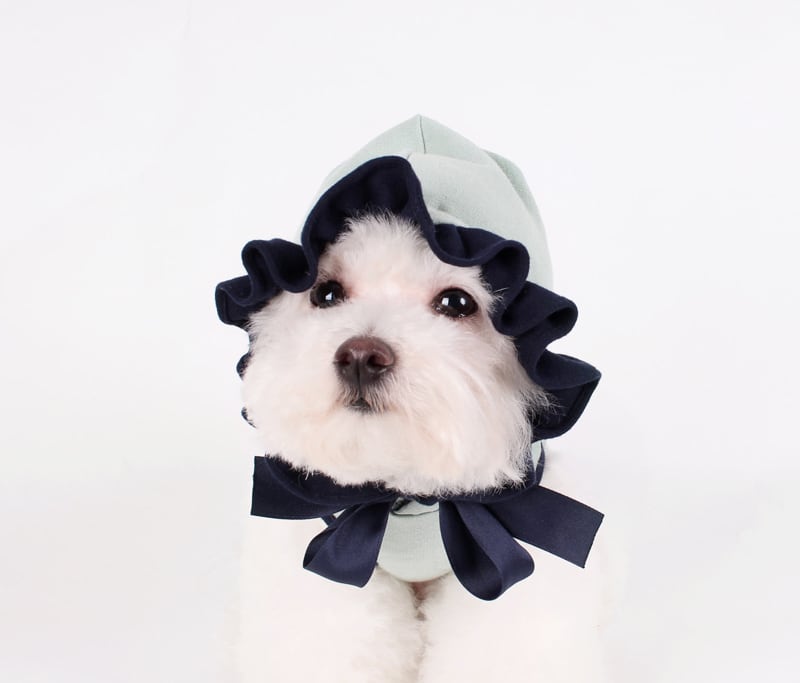 フリルリボンフード付きTシャツ S ~ XL 2color / 犬服 春物 新作 おしゃれ ドッグウェア 可愛い 犬の服 小型犬 中型犬 ペット用品 ペット洋服　b32