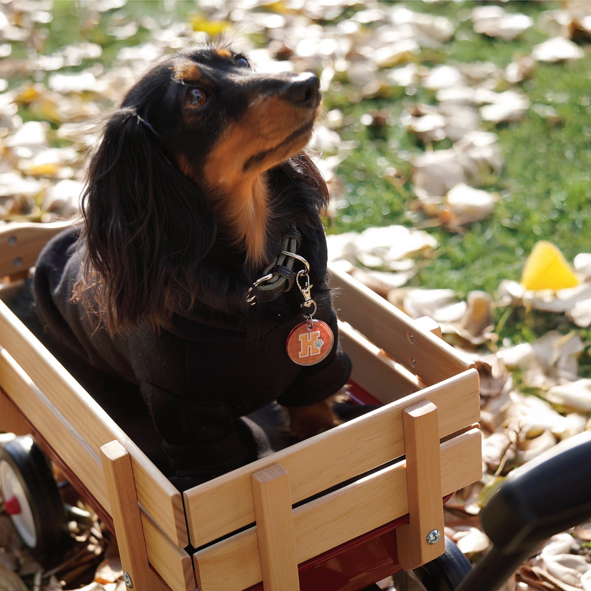 イニシャルチャーム（約3㎝） | ひまわんギャラリー | 〈オーダー