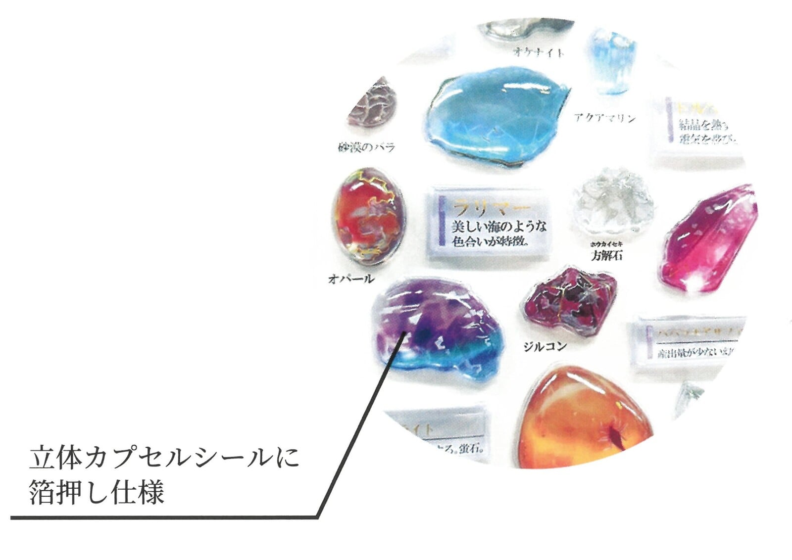 古代エジプト編 3D大人の図鑑シール | Jewelie