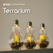 電球型インテリアテーブルライト　Terrarium（テラリウム）