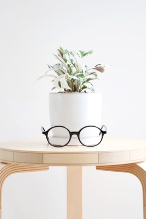 【S】カラテア ホワイトフュージョン