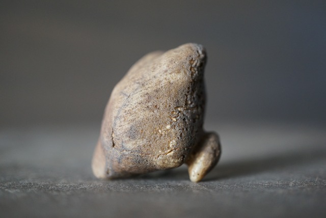 ゴビアゲート Gobi Agate 1130