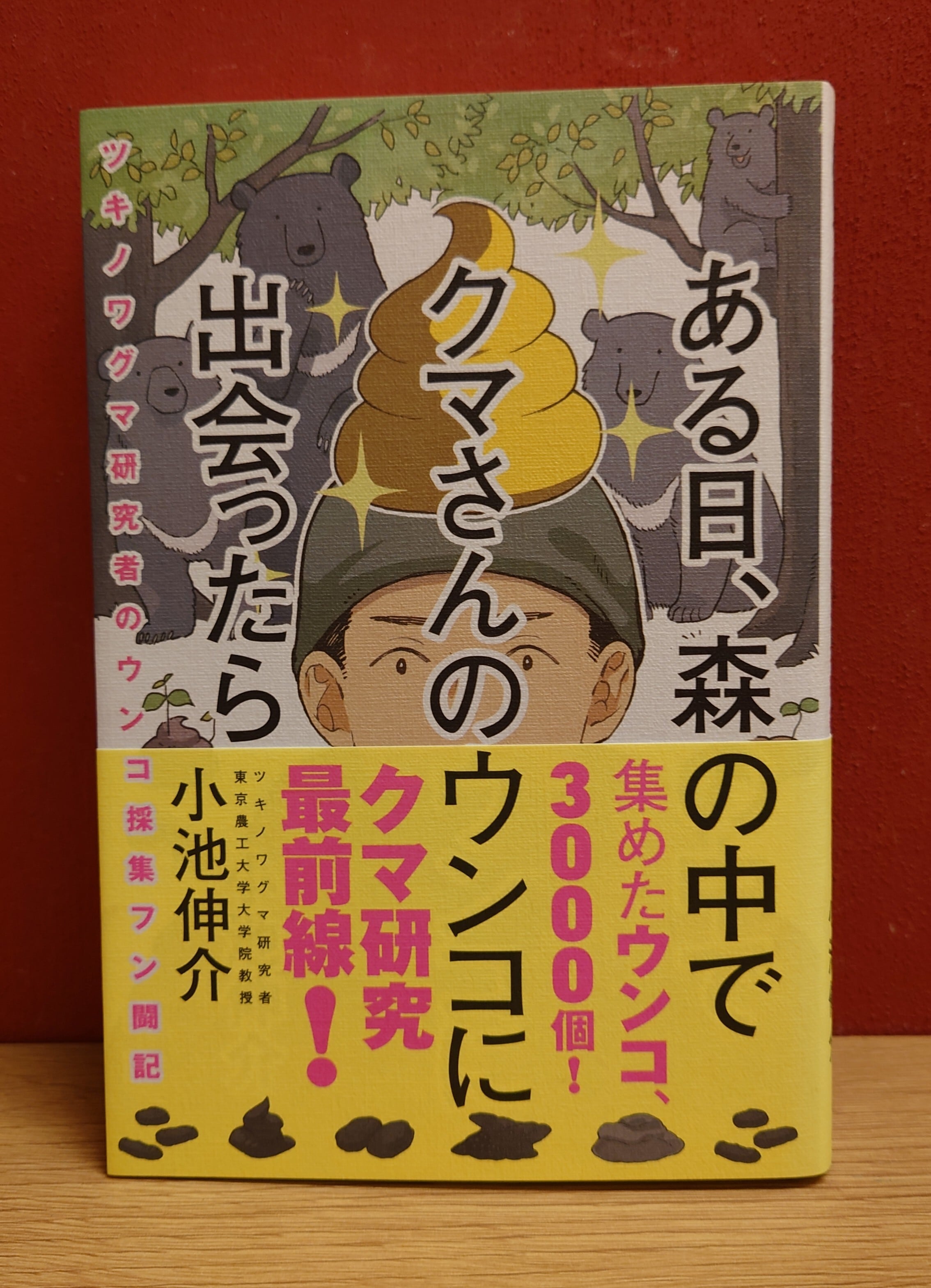 ある日、森の中でクマさんのウンコに出会ったら（ツキノワグマ研究者の