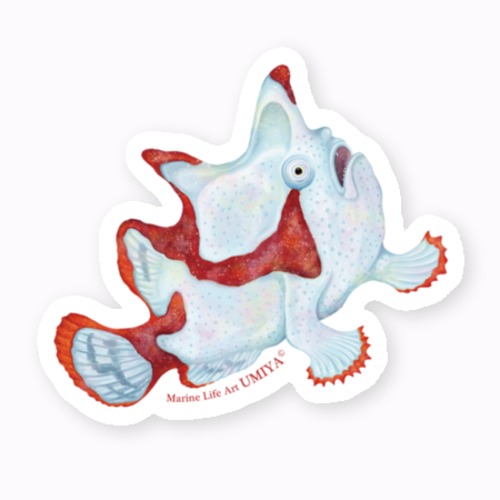 コピー：海の生きものステッカー（クマドリカエルアンコウ）