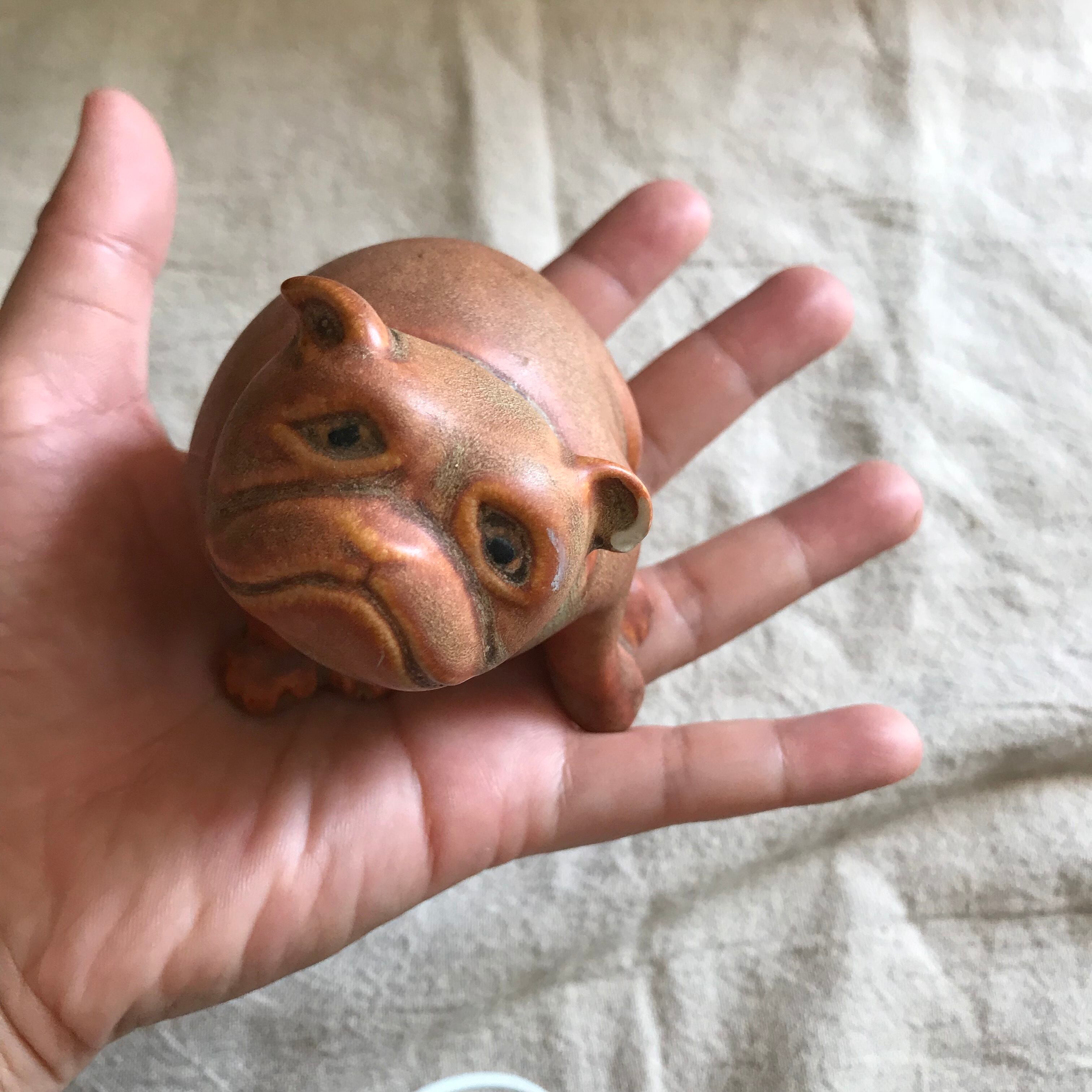 見上げるワンコ