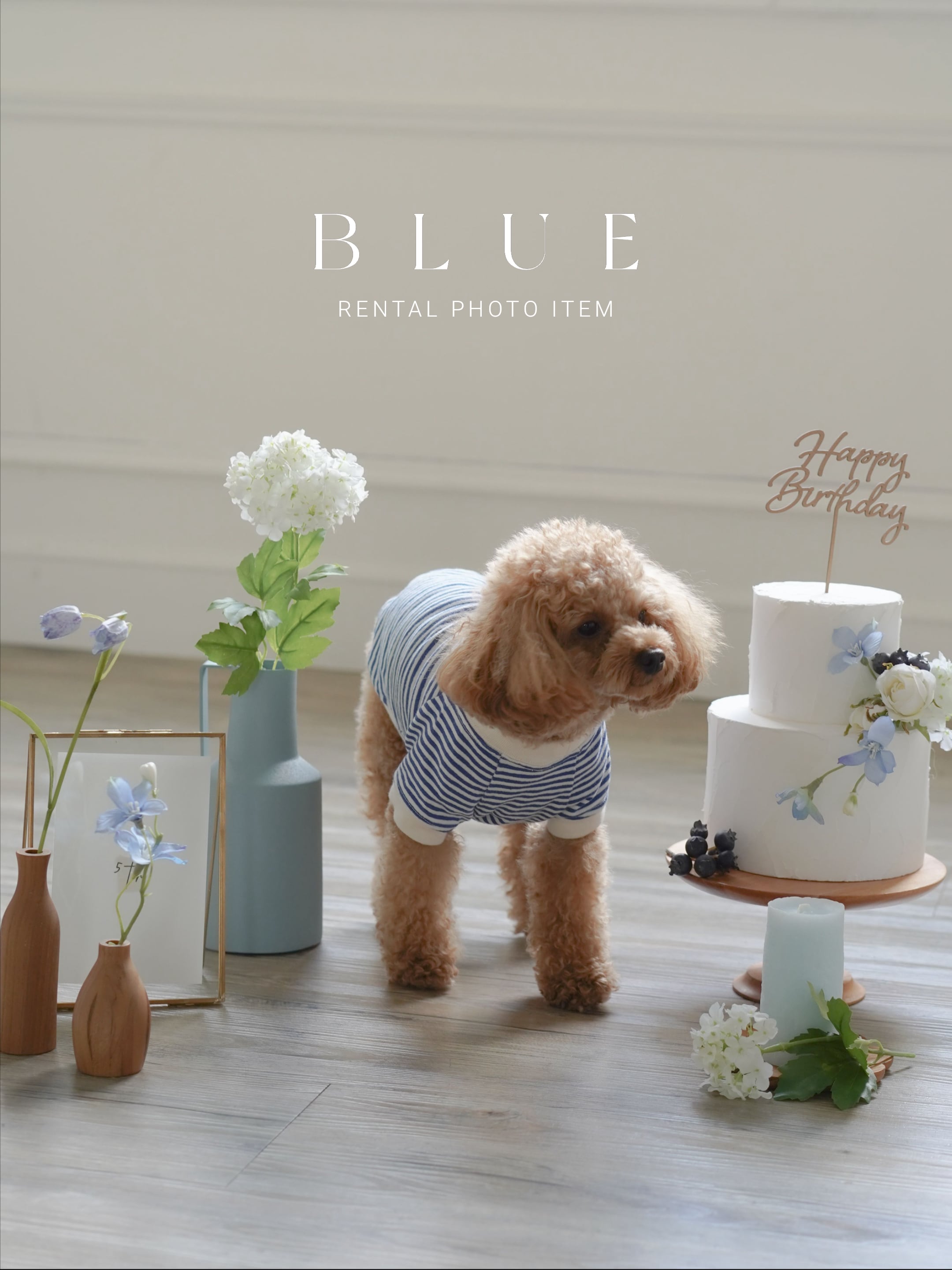 〈フォトアイテム/レンタル〉BLUE