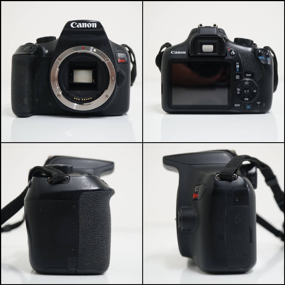 Canon EOS REBEL T6 (国内EOS Kiss X80同等）+ EF-S18-55mm F3.5-5.6