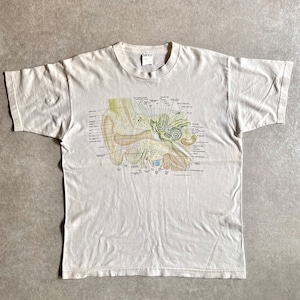 1990s Anatomical Chart Ear Anatomic 解剖 Tee L位 H446