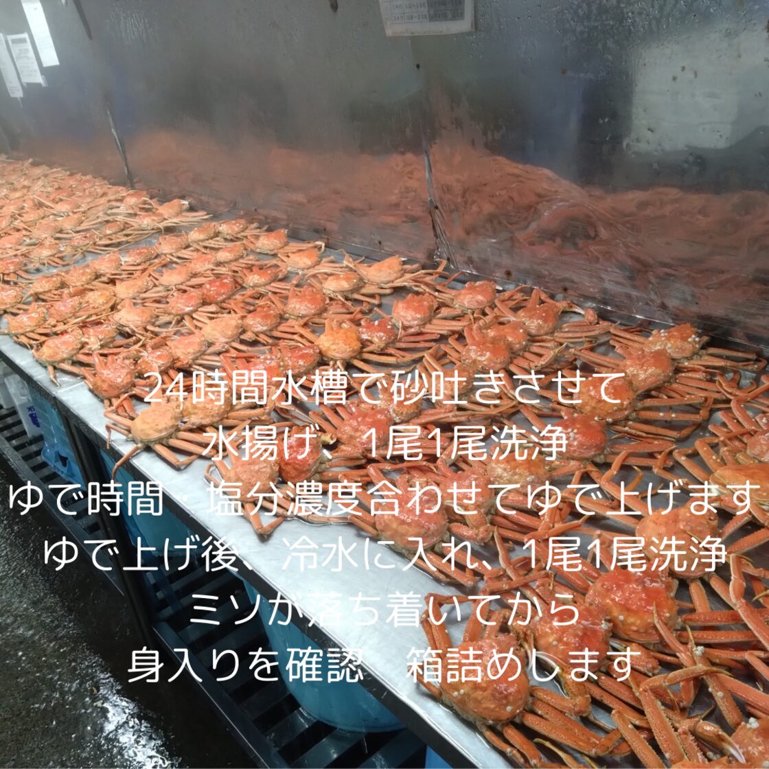 訳ありオオズワイガニ大4尾から5尾で2.0キロ 冷凍品 | Pay ID