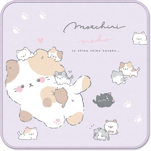 【ロット販売】【10入】03188ミニタオルモッチリネコ(9430864)