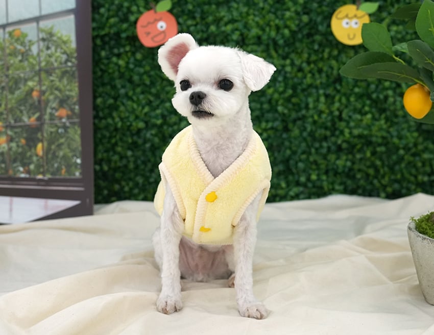 tangerine reversible vest S ~ 2XL 2color  /  犬服 秋冬 新作 リバーシブル ベスト アウター ふわふわ もこもこ 暖かい 可愛い 犬の服 トップス お揃い ドッグウェア シンプル