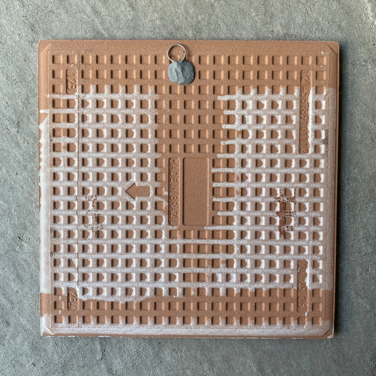 ボルジェス木版画 BACARO BORGES タイル『サボテンの花』