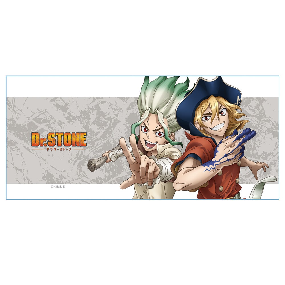 Dr.STONE マグカップ 石神千空&七海龍水 | あるじゃんマーケット