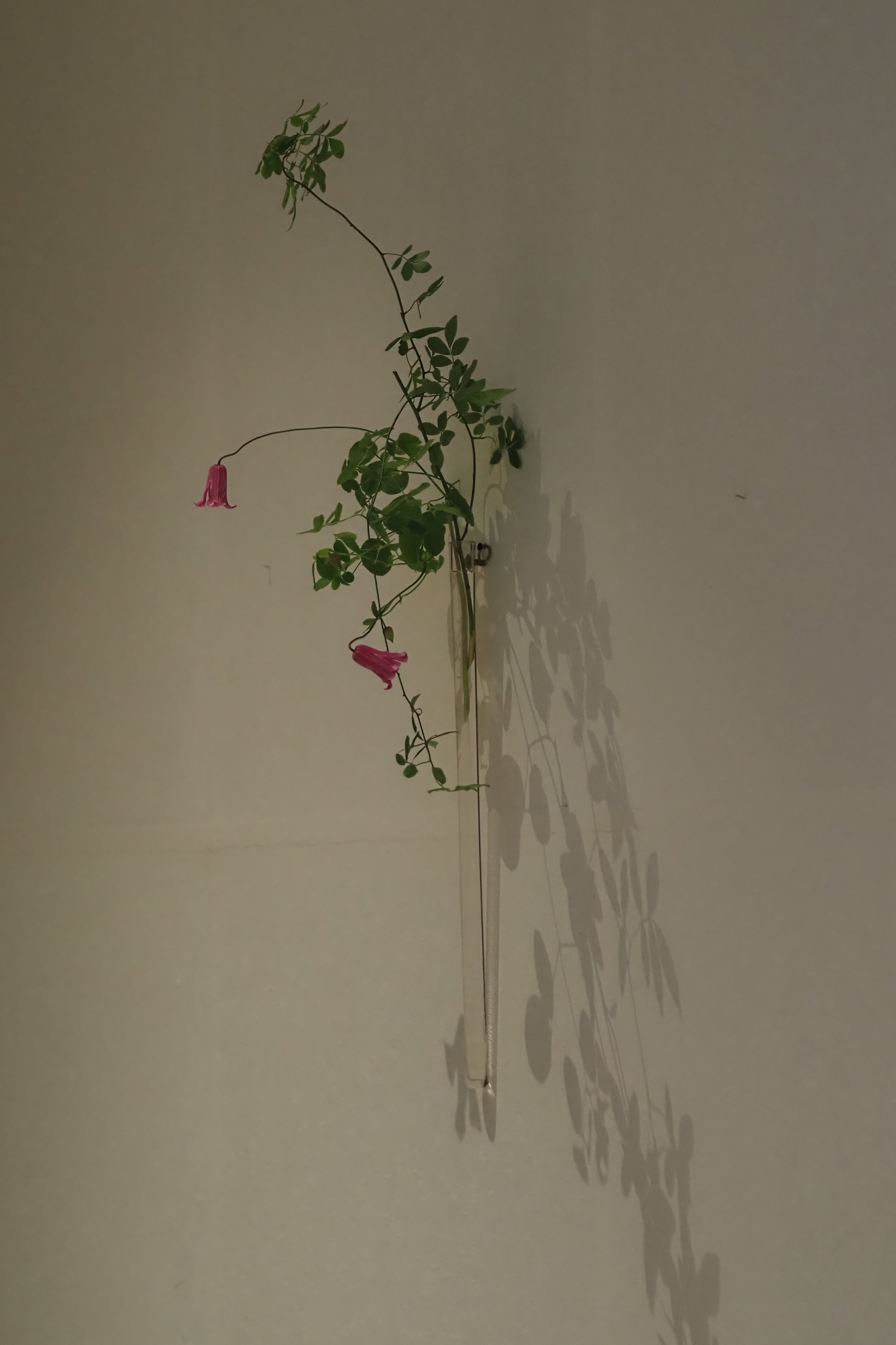 津田清和 160. 筒掛花入 | 陶屋なづな