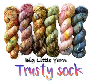 Big Little Yarn / Trusty Sock