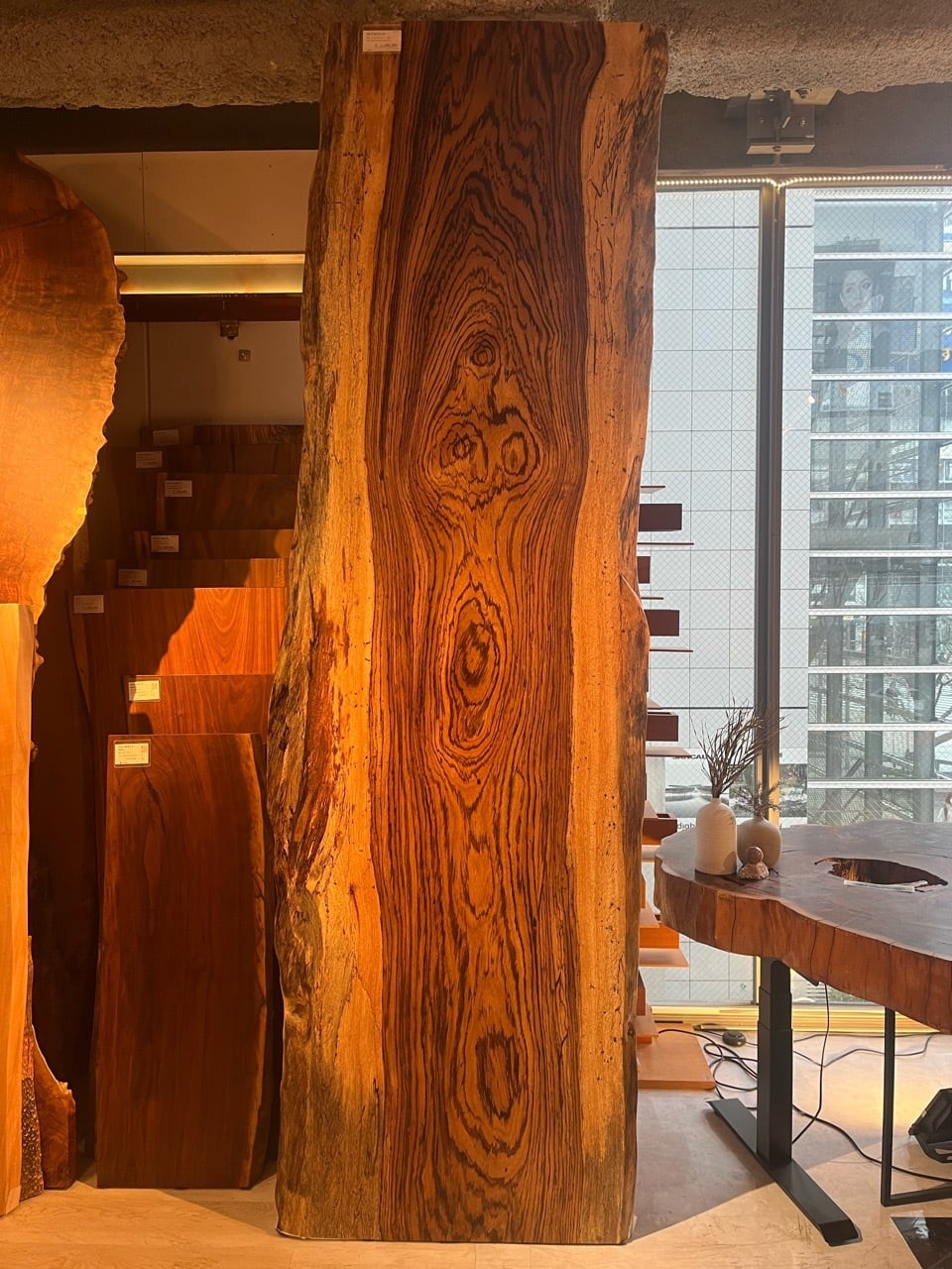 ゼブラウッド_3030×900-960-920×60_青山店_テーブル天板/一枚板 232138