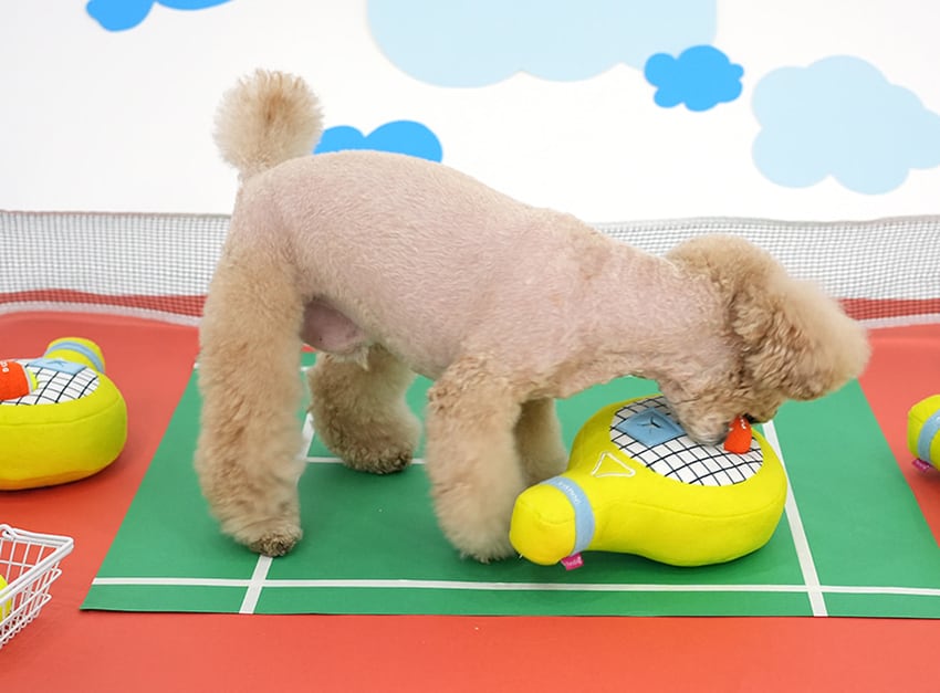 tennis multi toy / ノーズワーク ペット 犬 おもちゃ ボール