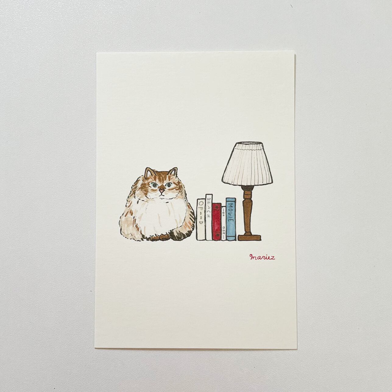 ポストカード 「ねこと読書時間」