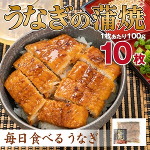 炭火焼うなぎ蒲焼 100g×10袋セット【毎日食べるうなぎ / レシピ5種類付】