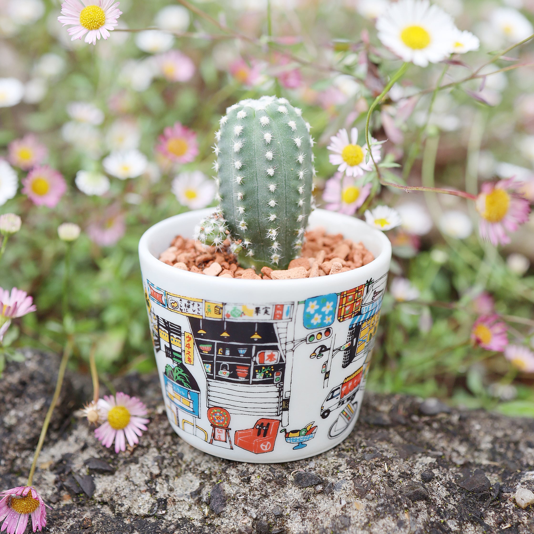 CHOCO ARITA【沖野 愛】 | 器とデザイン