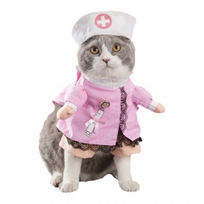 Km565g 看護師 おもしろグッズ 変装 フレンチブルドック ペット服 犬服 コスプレ 可愛い 猫服 犬用 面白い コスチューム ハロウィン 小型犬 中型犬 大型犬変身服 出掛け 撮影道具 コスチューム Dearkm フレンチブルドック孔明